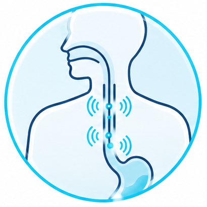 Illustration d’une manométrie œsophagienne dans le bilan du reflux gastro-œsophagien
